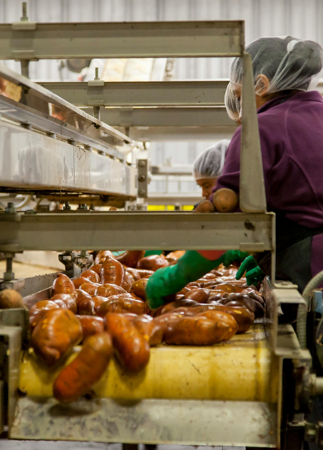 Food Processing Units
